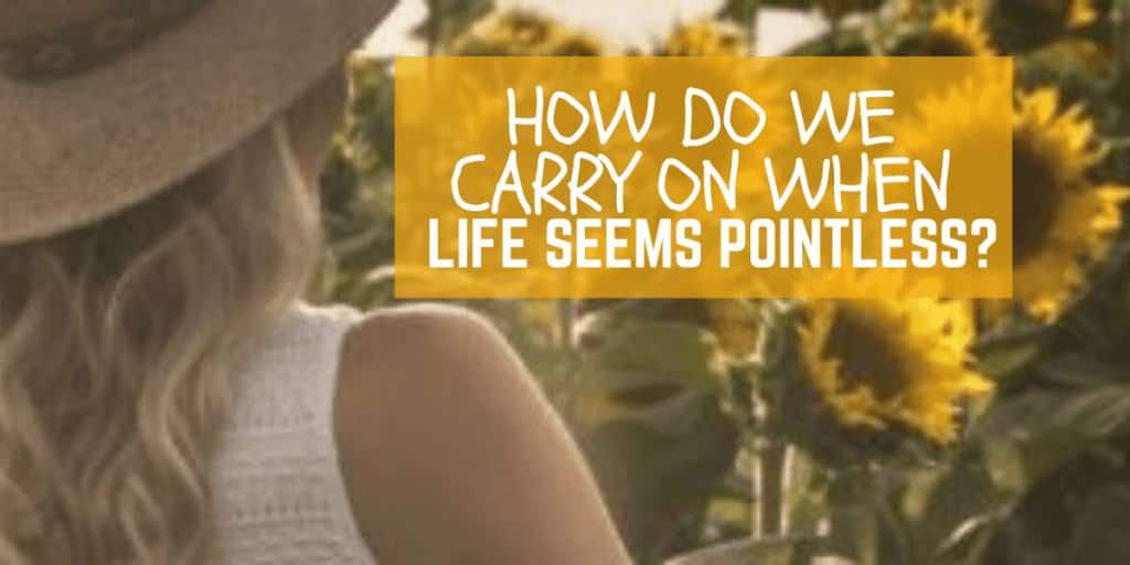How Do We Carry On When Life Seems Pointless