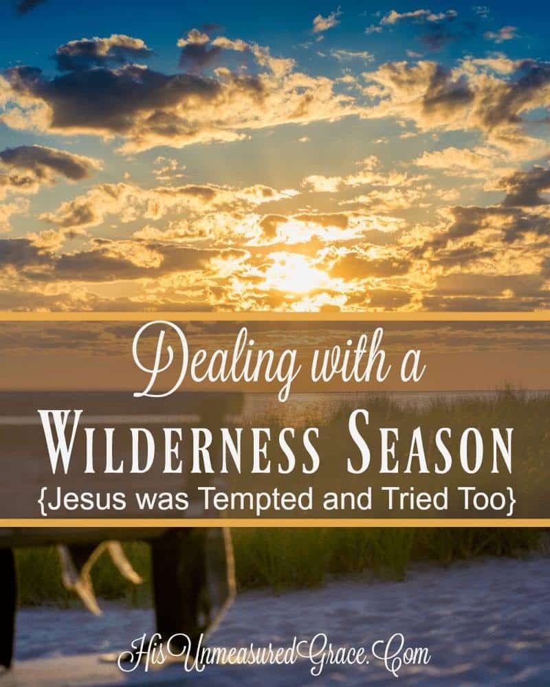 Dealing With A Wilderness Season