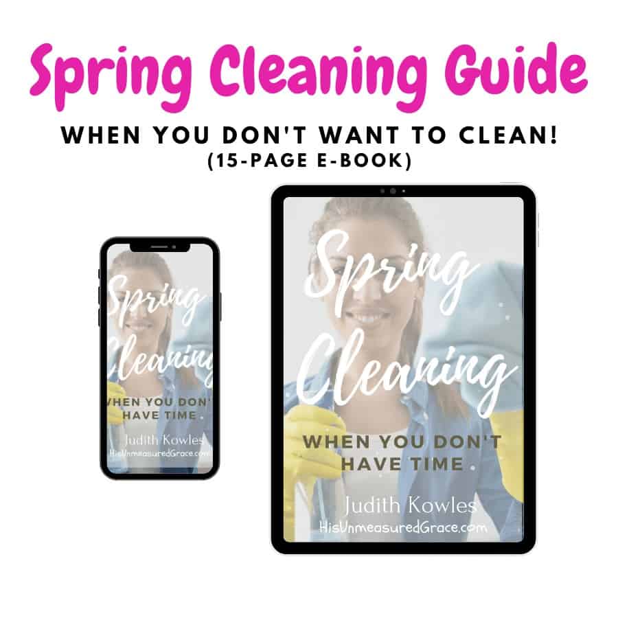 Spring Cleaning Guide 