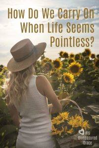 How Do We Carry on When Life Seems Pointless