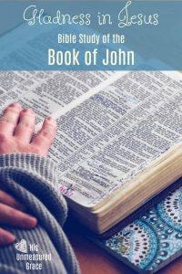 Gladness in Jesus Bible Study of the Book of John