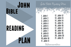 John reading plan