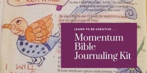 Momentum Bible Journaling Kit