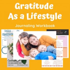 Gratitude As A Lifestyle Journaling Workbook
