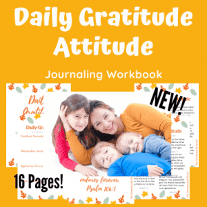 Daily Gratitude Attitude