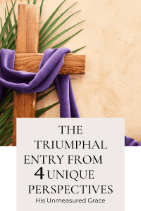 The Triumphal Entry from 4 Unique Perspectives
